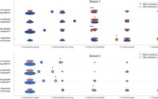 Master Neurobiology Quiz