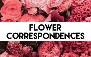 Flower Correspondences