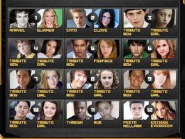 What Hunger Games Tribute Are You?