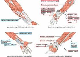 Peripheral Devices Quiz (1)