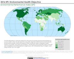 Eco-friendly Driving Quiz