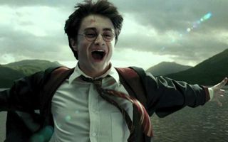 How much do you know about Harry Potter? (8)