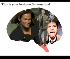 Does your brain love Supernatural? Does your brain love Supernatural?