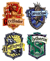 What Hogwarts house are you in? (2)