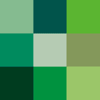 What Shade of Green Are You?