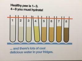 How Well Do You Hydrate?