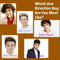 Which One Direction Boy Are You Most Like?