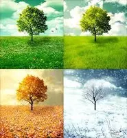 What season are you? (5) What season are you? (5)