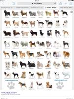 Do you know your dog breeds?