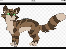 Cat quiz part 3 home Cat quiz part 3 home