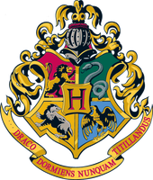 What Hogwarts house do you belong in?