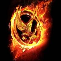 How well do you know The Hunger Games and Catching fire?