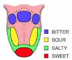 Are you sweet, sour, salty or bitter?