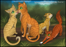 warrior cats amazing quiz!