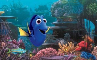 Can you find Dory?