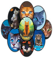 Warrior Cats Scored Quiz!