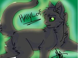 How much do you know about Hollyleaf?