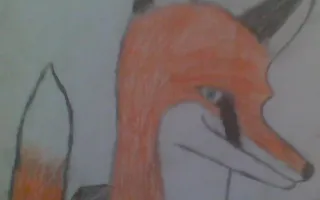 What do you know about Amaze? (life of an Anthro fox version) What do you know about Amaze? (life of an Anthro fox version)
