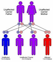 Test Your Knowledge on Heredity!