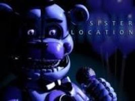 Which sister location fnaf character are you ?