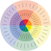 What Kind of Feeling Type Are You?