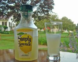 How well do you know Lemonade?