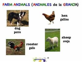 Which Farm Animal Are You? (2)