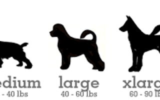 What dog size would best benefit you?