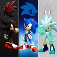 Sonic, Silver, Shadow?