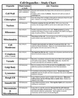 Cell Structure Quiz