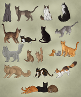 How Much Do You Really Know About Warrior Cats? (2)