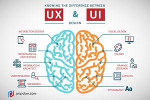 Test Your UX/UI Design Knowledge