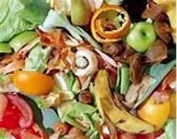 Why is it so important to reduce food wastage?