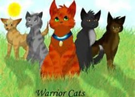 what warrior cat are you (1)