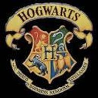 The Hogwarts Sorting Hat Quiz :)