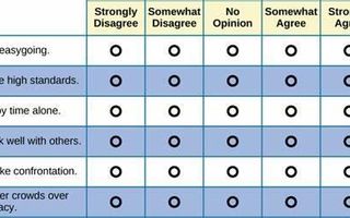 Career Guidance Personality Quiz