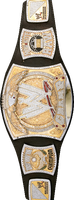 Are you worthy of being WWE Champion?