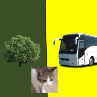 tree or bus