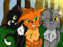 Warrior Cats: What's the Beginning Of Your Name?