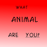 WHAT ANIMAL ARE YOU???