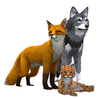 WildCraft Animal Sim Quiz