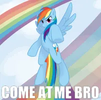 What type of brony are you? What type of brony are you?