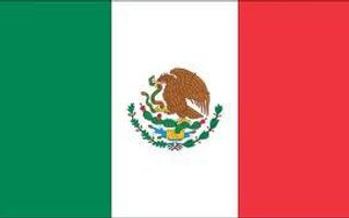 are you a mexican or a true american