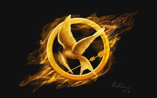 What Hunger Games character are you? (6)