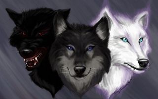 What kind of wolf are you? (3)