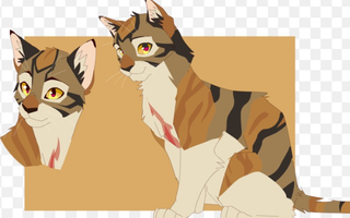 Warrior Cats Quiz- How well do you know Leafstar?