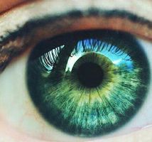 What is your eye color?