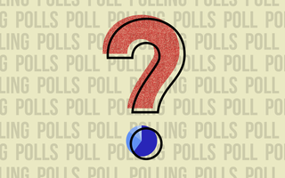 poll quiz