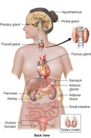 Physiology Quiz