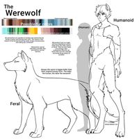 How Well Do You Know Werewolves?